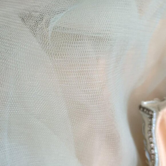 TLC Say Yes To The Prom Sz 13/14 BallGown Beaded Bodice Cream Irridescent Tulle - Picture 6 of 6